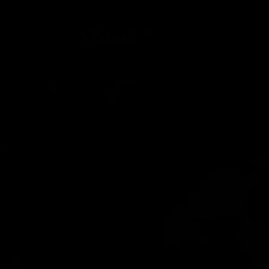 Meet your Posher, Luhuuscar